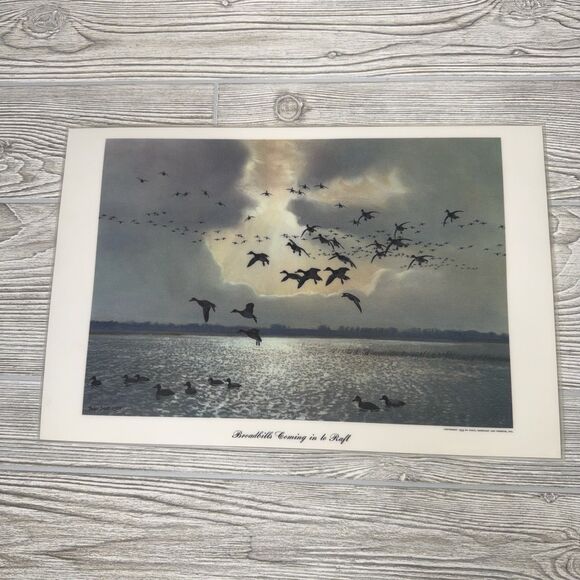 Peter Scott Waterfowl Laminated Placemats Lot Of 6 Vintage 1953 Ducks Geese - Picture 12 of 16